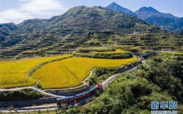 美丽乡村引客来(景区环球游客乡村增收)