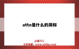 attn是什么的简称