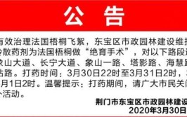 这些时段关好门窗 淄博临淄发布绿化养护防治病虫害提示