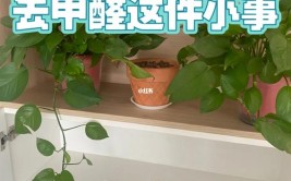 介绍装修甲醛之谜,无处不在的隐形杀手