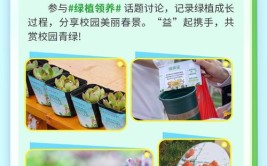 绿植领养第十四年共赴一场春天的约