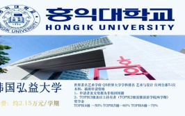 韩国弘益大学有什么专业