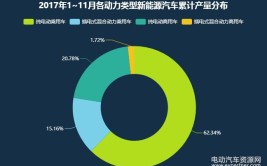 纯进口新能源车排量税率,绿色转型中的政策考量与市场响应