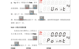解读称重仪表常见问题与维修方法(称重仪表故障电子秤电源)