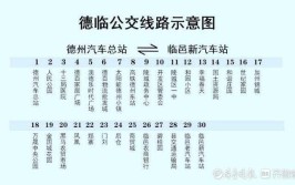 30分钟一班，全程12元(临邑齐鲁至德公交交运)