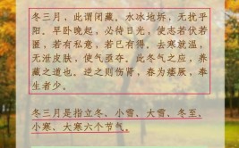 秋季养护冬季无忧掌握这些技巧让你的植物安然过冬