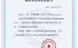 国外大学毕业证怎么认证