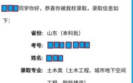 山东投档状态如何查询