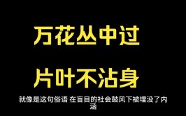 万花丛中过,片叶不沾身的意思