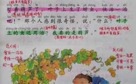 小学课文我要的是葫芦课文道理