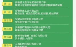 桐城：做活汽车零部件制造产业大文章(汽车零部件亿元产业项目新能源)