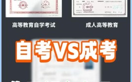 自己怎么报成人自考比较好