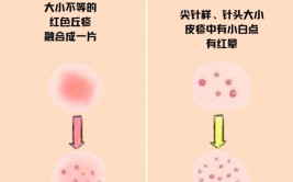 です和ます的区别