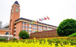 合肥国际学校有哪些