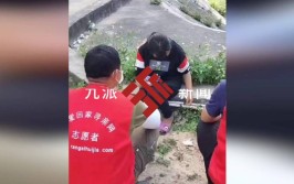 父亲曾悬赏10万苦寻(志愿者坟场女孩家人父亲)