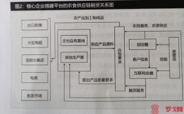 “一时火”还要“一直火”(农产品农业网店黄金供应链)