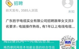 2020年11月30日湛江招聘信息(招聘视角文员经理公司招聘)