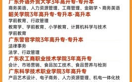 现在成人本科报什么专业最好