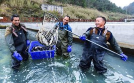 揭开山东温水镇乡村振兴之路的奥秘(温水鲟鱼乡村振兴乡土)