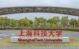 上海科技大学有哪些学院？