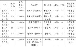 湖南涉外经济学院艺术类专业有哪些？