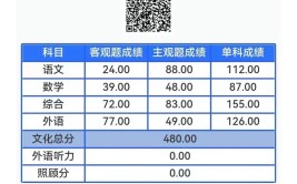 有480分左右的一本大学吗