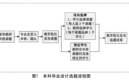 选题的途径有哪些