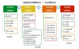 大数据与财务管理专业学什么