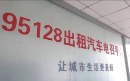 24小时运营助老叫车热线“95128”和网约车平台“石城出行”在石开通(出行服务老年人巡游平台)