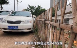 还能继续开下去吗？听听喵哥最实在的建议(车子还能建议年检年了)