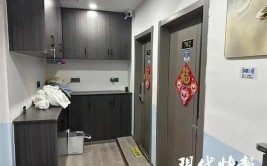 仿真绿植里藏摄像头南京涉事酒店回应已进行清理整改