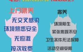 春节临近上门喂养宠物服务在厦悄然升温 宠物店半月接15单(宠物喂养服务上门宠物店)