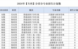 2024年西南财经大学4+0中外合作办学专业及就业方向