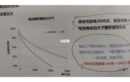 相关规则为何不透明？(电池更换质保比亚迪衰减)