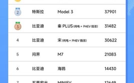 冠亚军让人意外，路虎、特斯拉垫底(让人特斯拉销量排名冠亚军)