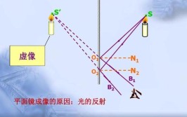 2021-2022物理中考光现象 生活中的平面镜成像问题(平面镜物体虚像成像地砖)