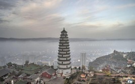 流量加持，成就世界的神木(神木摄影影像拍摄城市)