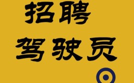 ​安岳县顺通达运业有限责任公司招聘公交车驾驶员2名(报名体检人员政审应聘)