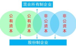 混合所有制经济通常采用的是什么形式