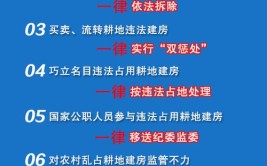 自然资源部：对新增乱占耕地建房突出地区约谈问责(违法复耕建设违法行为耕地)