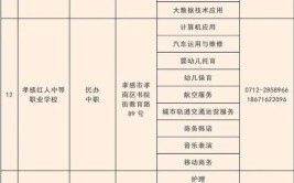 2024年孝感市普通高中招收特长生菁华高中报名公告