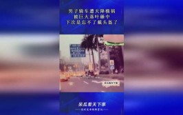 车被高空掉落的瓷砖砸出个洞“天降横祸”该怎么赔？(临海小杜房屋酒店自己的)