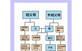 公务员政审怎么查父母