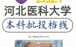 河北医科大学是985还是211