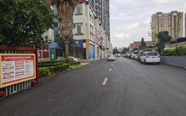 办实事丨山东枣庄：网友反映道路损坏 政府马上办(群众人民网街道道路修路)