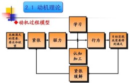 动机理论有哪五种