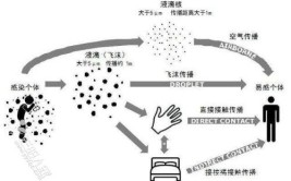 空气传播的主要途径