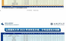 2024年山西医科大学是211吗