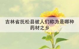 吉林省抚松县被人们称为是哪种药材之乡