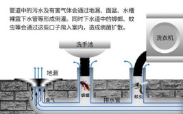 室内装修常识有哪些？装修小白必看(室内装修常识装修地漏气体)